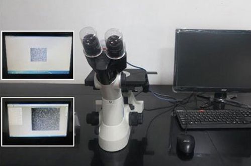 4. 倒置式金相显微镜